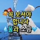 🚨꼭 보셔야 합니다!!!💧물과 소금💎 이미지