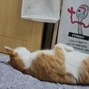 #뭉게뭉게 네이버블로그
