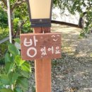 바다숲민박 이미지