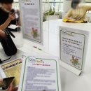 도봉-쌍문-도봉-1365 | [쌍문 둘리뮤지엄] 쌍문동 둘리뮤지엄 오후 봉사활동 후기