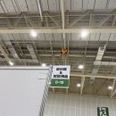 멍멍캐슬 이미지