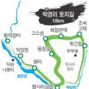 솔숲갈래길 이미지