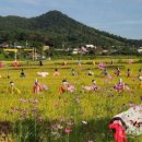 별량면 행정복지센터 이미지