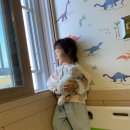 진영새싹병원 이미지