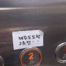 탐라포차 둔산점 | 대전 둔산동술집 탐라포차 피로연맛집 추천 !