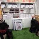 백세 흑염소 추어탕 이미지