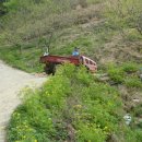 조아농장 이미지