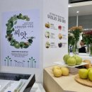 2023 대한민국 농업박람회 후기 - 양재 aT센터