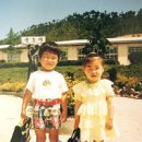 증도초등학교 이미지