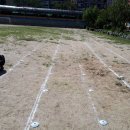 칠보초등학교 이미지