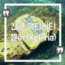 지중해의 아침 B | 칸쿤 여행 | 칸쿤 액티비티 셀하 투어 | 후기, 준비물, 꿀팁, 레스토랑 비교 총정리