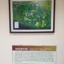 항몽유적지 이미지