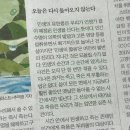 소울노래연습장 | 바람에도 굴하지 않고