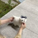 멜로디펍스 이미지