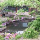 아리스토이펜션 이미지