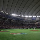 MLB에서 올려쥰 영상 생동감 미쳤네 이미지