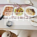오구오구내새끼 | 강원도 강릉 교동 애견동반 강릉종합운동장맛집 세레니타