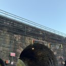 영어놀이터(Bear in square) | 🇺🇸 뉴욕 여행 | 뉴욕 최고의 큐레이션! 뉴욕 박물관 입장료, 관람꿀팁, 무료입장, 센트럴 파크 야경