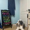뭉살롱 네이버블로그