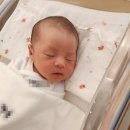 [신데렐라 조리원] 초산맘의 조리원 후기