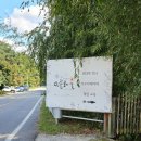 민들레울 이미지