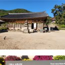 오야리 | 탑과 석등 이야기-33(경주,포항)