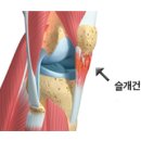 코치짐 미사점 이미지