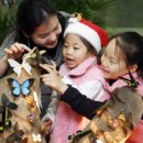 나비공간 이미지