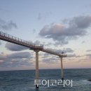 스카이관광여행사