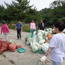 죽림해수욕장 경남연합일보
