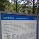 밭탕골약수터 이미지