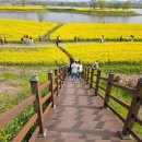 나주종합스포츠파크 건너편 이미지