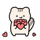 푸라닭 사거리 이미지