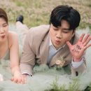 비와이 인터네셔널
