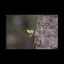 북서울꿈의숲 서문 이미지