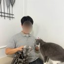 아가마미고양이카페 이미지