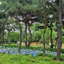 이현공원 이미지