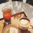 홀톤커피 이미지