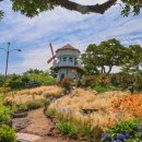 동산애견 이미지