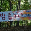 비둘기농원