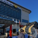 웰핏 휘트니스 | 대구 경북 경남 헬스기구 납품 천국의계단 / 런닝머신 / 싸이클 / 관공서 납품 ! 웰핏 코리아 영남지사