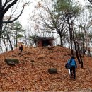 떠도는섬들 이미지