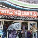 남해 섬여행 코스! 남해대교 유람선 타고 하동 대도섬 해상법당 반야용선사 가볼만한곳