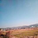 칠갑산골 | 알레버스 타고 가을 칠갑산 다녀온 후기