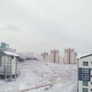 고향 Daum카페