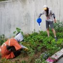 중리할머니경로당 이미지