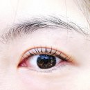 어반아이래쉬 - 남양주시 봉현로36번길 11 | 구리속눈썹펌 수택동속눈썹 <어반아이래쉬> 솔직 후기