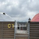 포항 애견동반 풀글램핑 펫글램핑 C1 내돈내산 후기 (2025.05.23~24)
