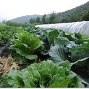 해산민박 이미지