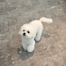 주정차단속-66 | 농성동펌포인트연장 무아르뷰티 솔직후기